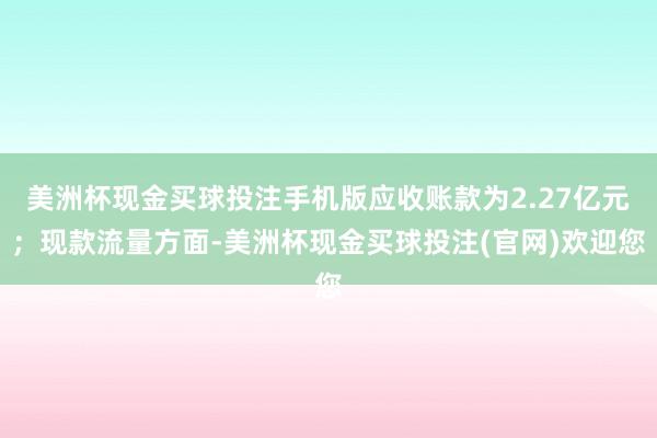 美洲杯现金买球投注手机版应收账款为2.27亿元；现款流量方面-美洲杯现金买球投注(官网)欢迎您