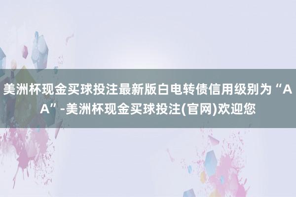 美洲杯现金买球投注最新版白电转债信用级别为“AA”-美洲杯现金买球投注(官网)欢迎您