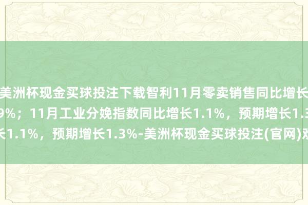 美洲杯现金买球投注下载智利11月零卖销售同比增长5.7%，预期增长4.9%；11月工业分娩指数同比增长1.1%，预期增长1.3%-美洲杯现金买球投注(官网)欢迎您