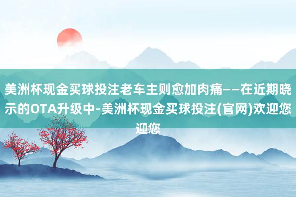 美洲杯现金买球投注老车主则愈加肉痛——在近期晓示的OTA升级中-美洲杯现金买球投注(官网)欢迎您